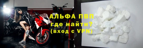 хмурый Белокуриха