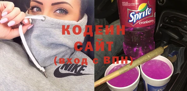 хмурый Белокуриха
