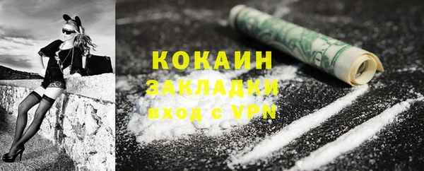 хмурый Белокуриха